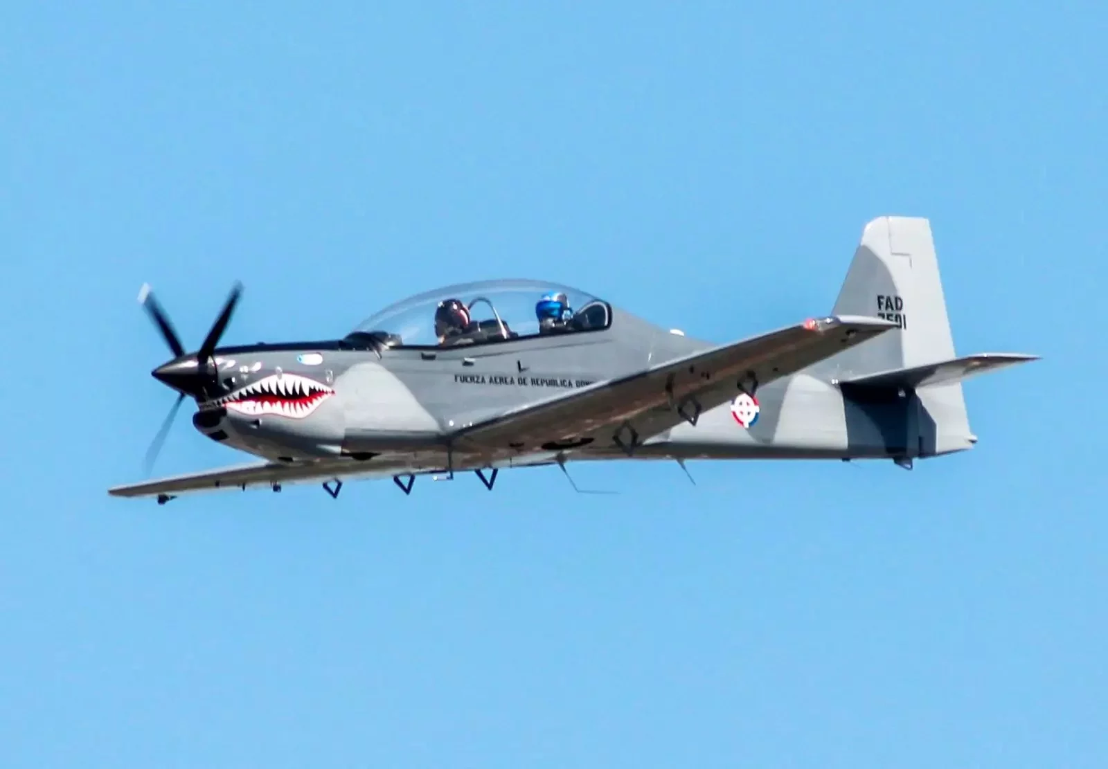 aeronave TP-75 Dulus