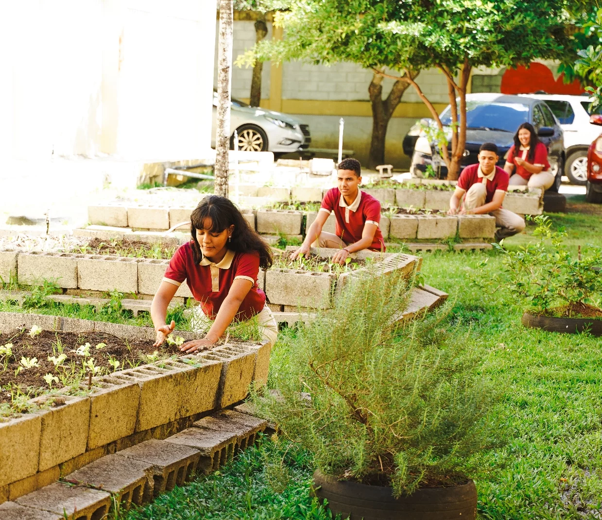 Los huertos pueden ser escolares, comunitarios, urbanos y con fines de salud.