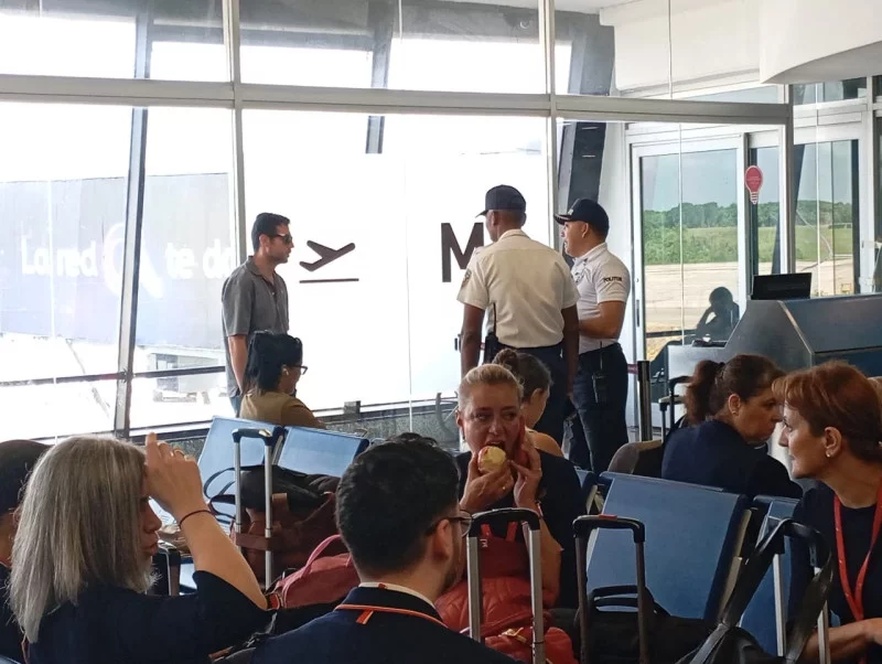 Turista