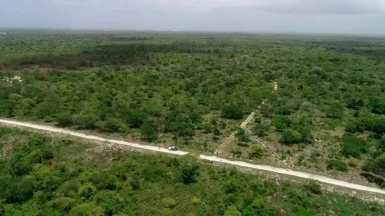 Aeropuerto Internacional de Bávaro