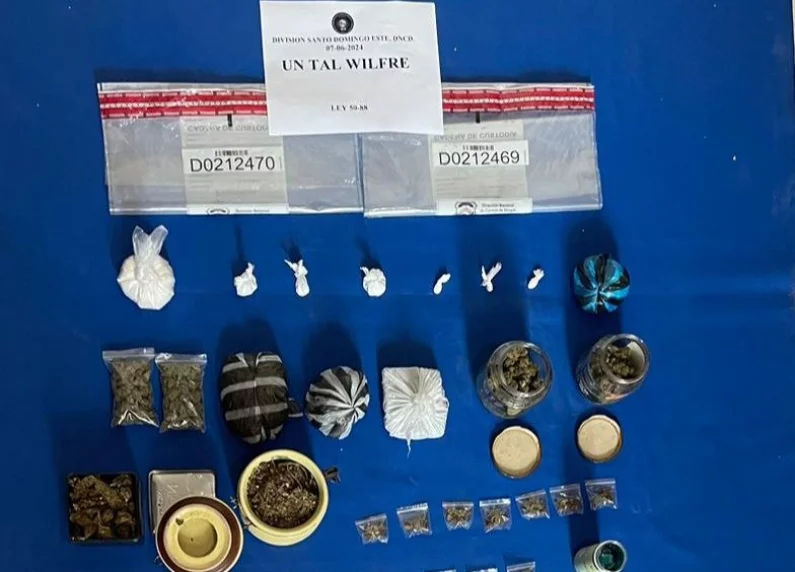 Parte de las porciones ocupadas por agentes de la DNCD.
