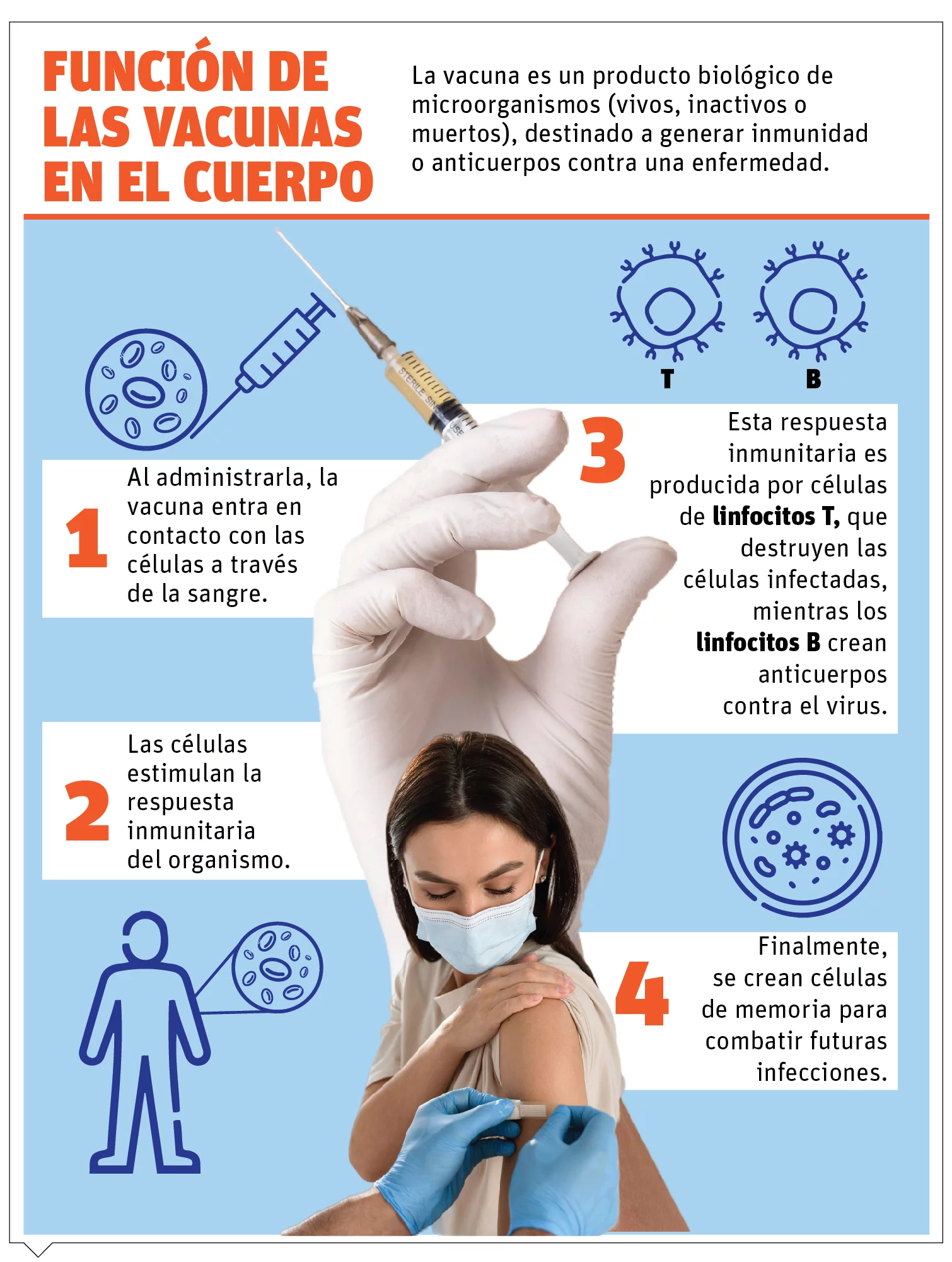 info-VACUNA FUNCION-01