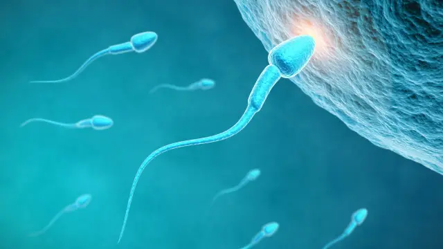 160524021217_thinkstock_espermatozoide_640x360_thinkstock_nocredit.jpg