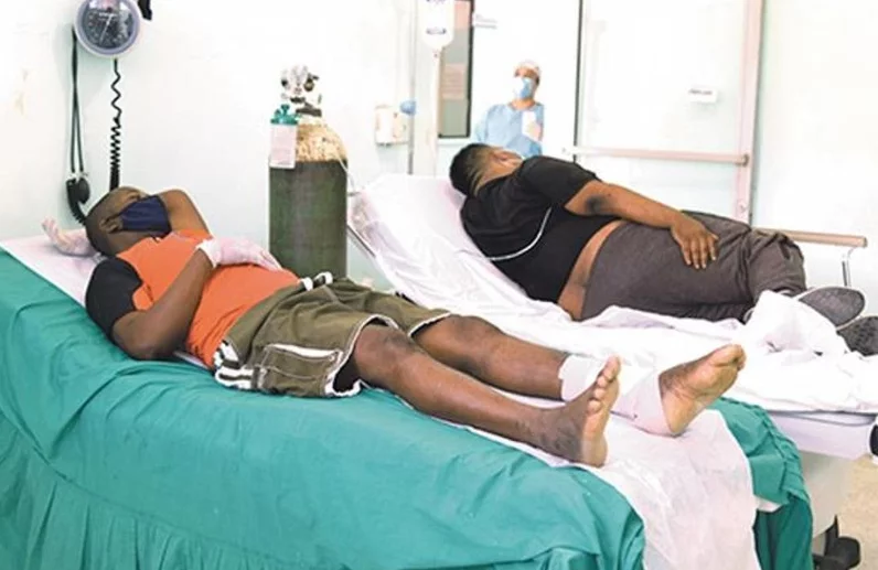 La leptospirosis puede provocar falla renal y hemorragia.
