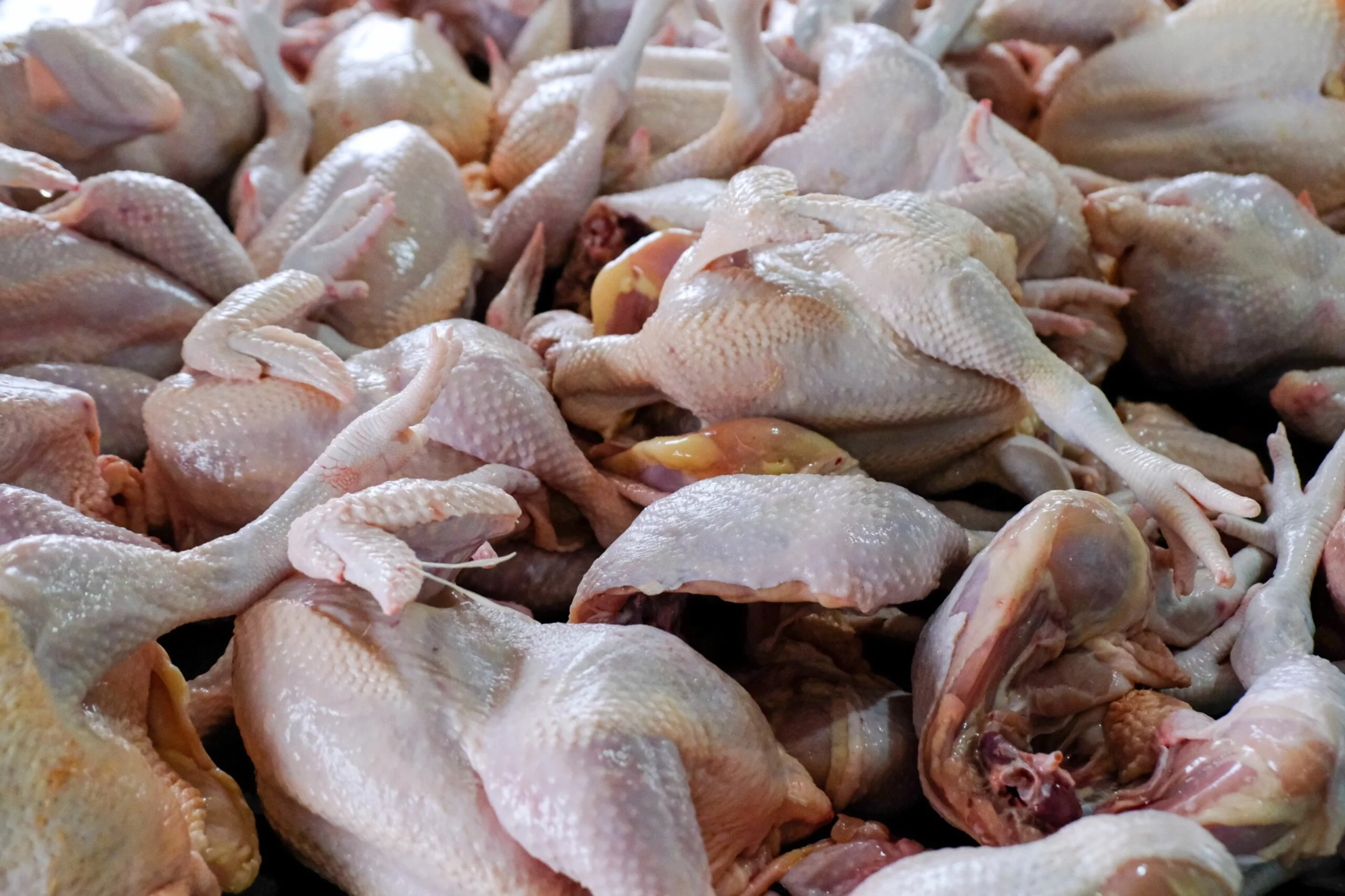 Food Protectionism Spreads With Malaysia Poultry Export Ban