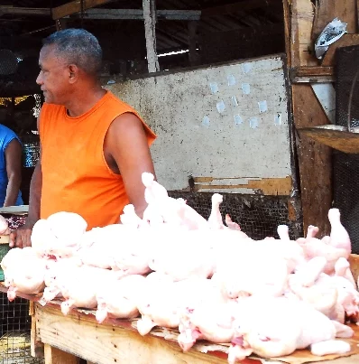 Se advierte de escasez de pollo en el mercado.