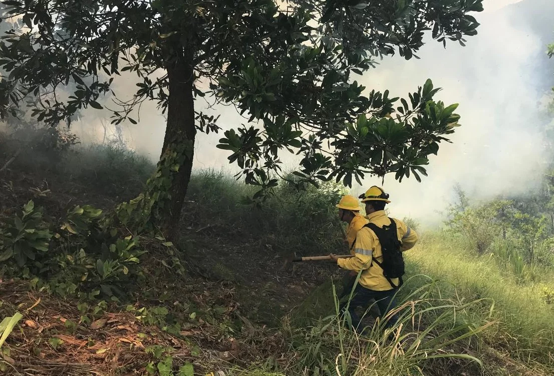 Bomberos forestales combaten incendio en Cienaguita de Jarabacoa