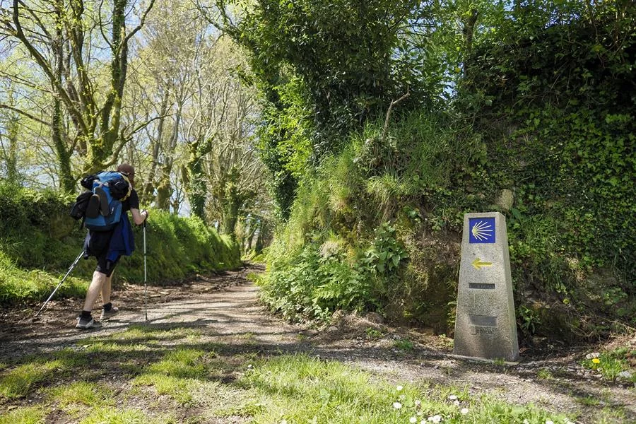camino-santiago-noticia