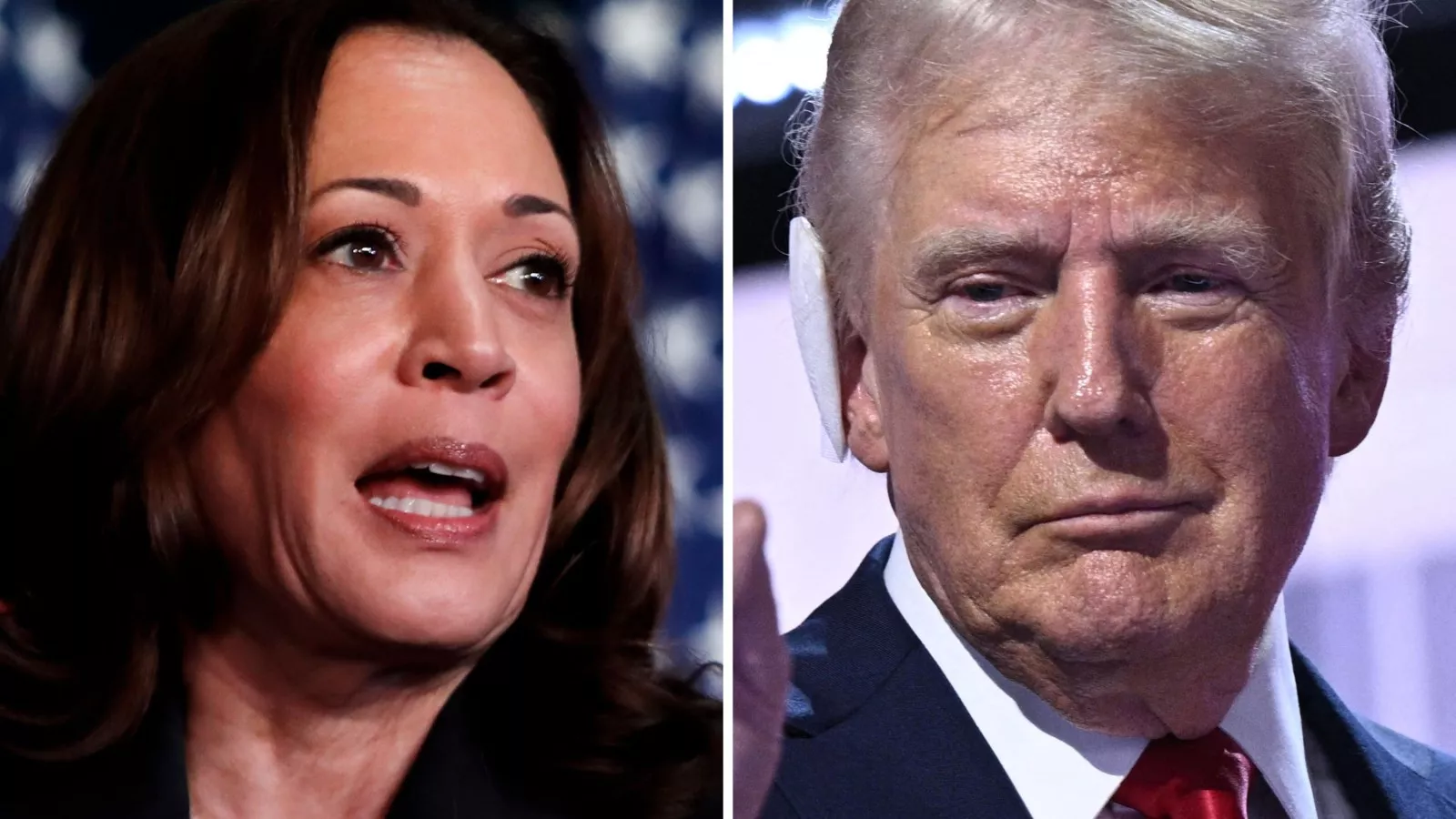 Kamala Harris y Donald Trump compiten para llegar a la presidencia de los Estados Unidos. Fuente externa