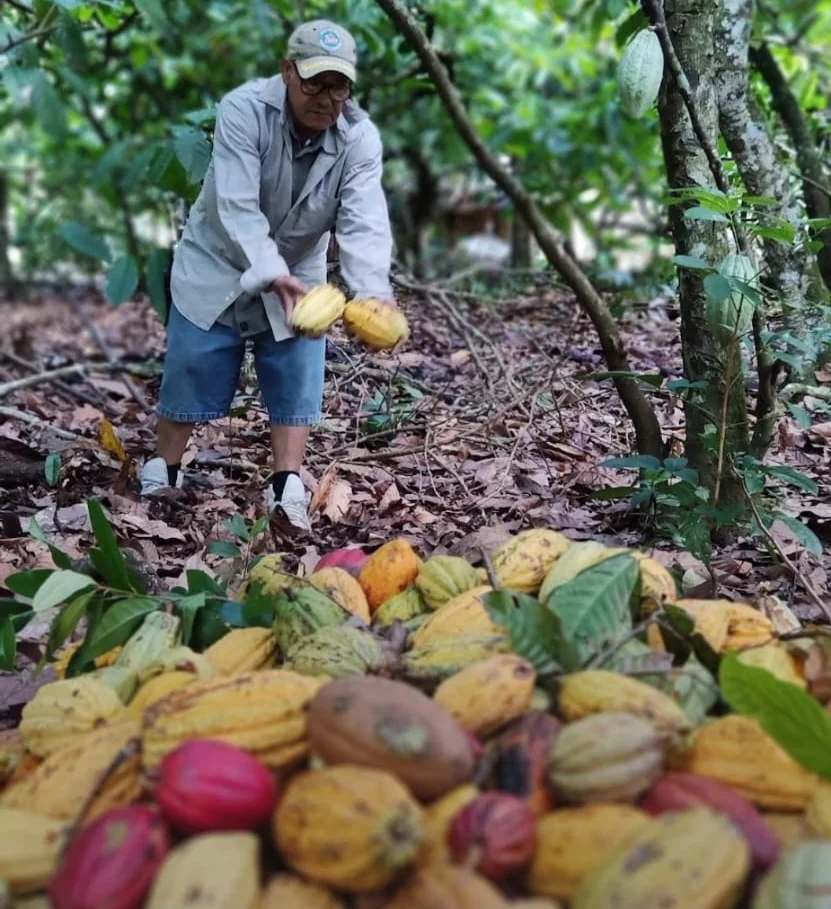 Ofrecen productos artesanales , cacao y chocolate orgánico.