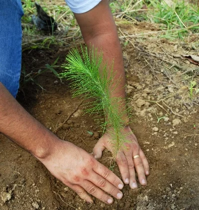 Resaltan el valor  ecoturístico de la región norte.