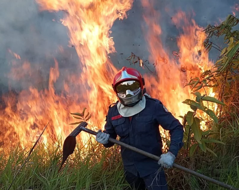 Las ong achacan los incendios en la Amazonía a la retórica de Bolsonaro