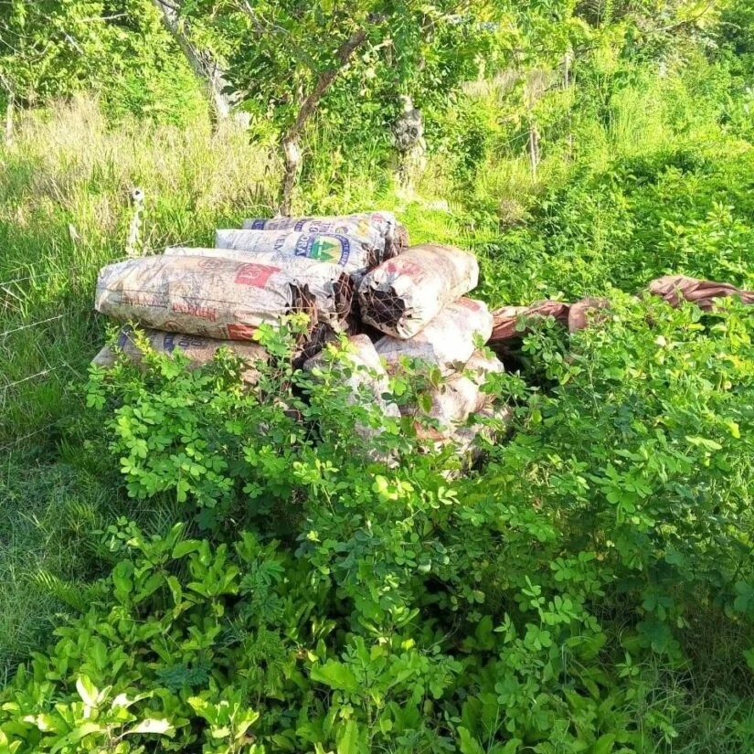 Haitiano, carbón