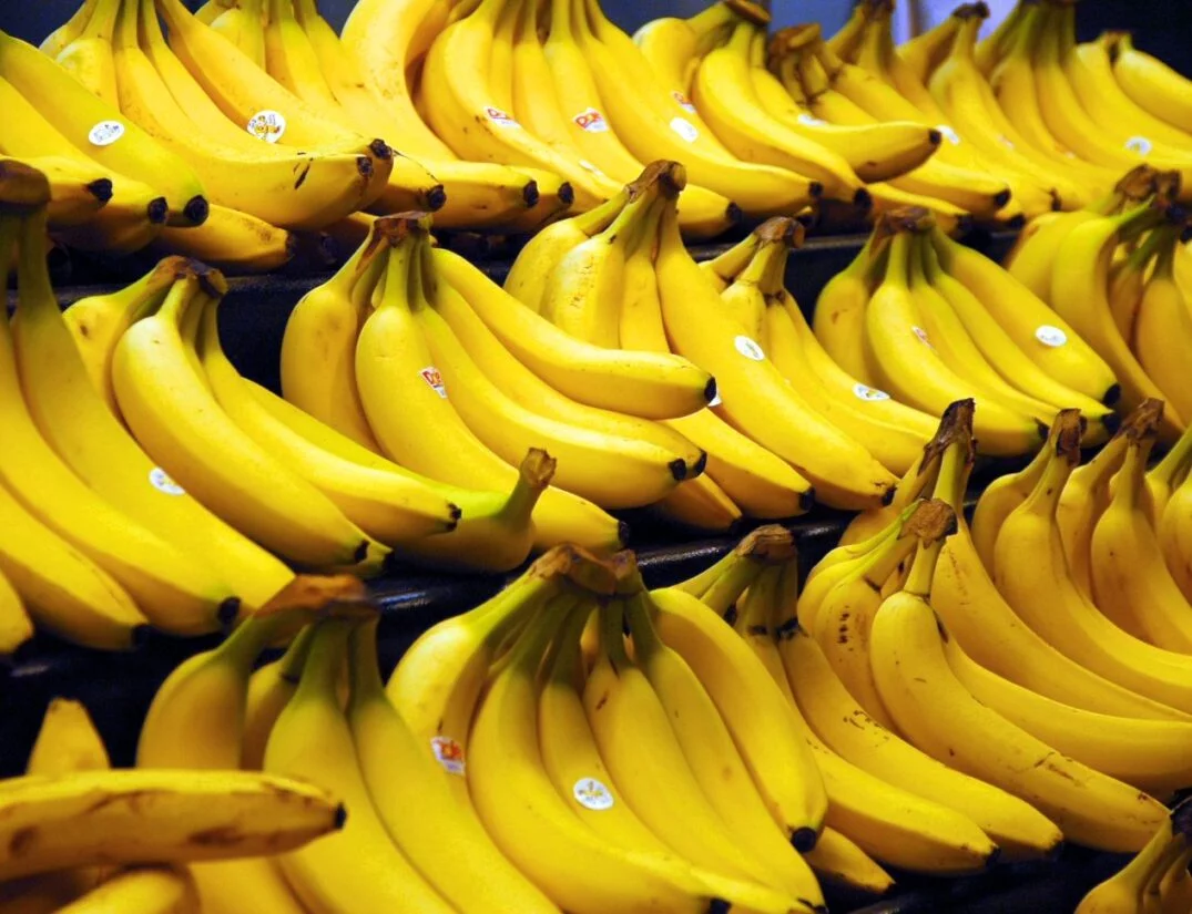 El banano se convirtió en un producto que dinamizó la zona fronteriza del norte.