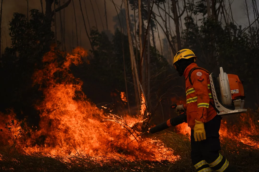 Un vasto incendio consume el 20 % del mayor parque natural de Brasilia
