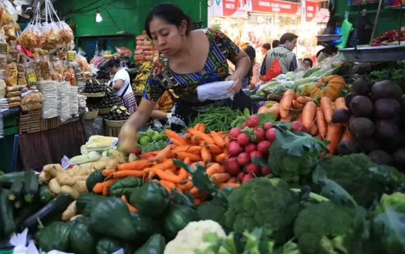 Aguacates, cebollas, naranjas, ajíes y huevos bajaron de precios.