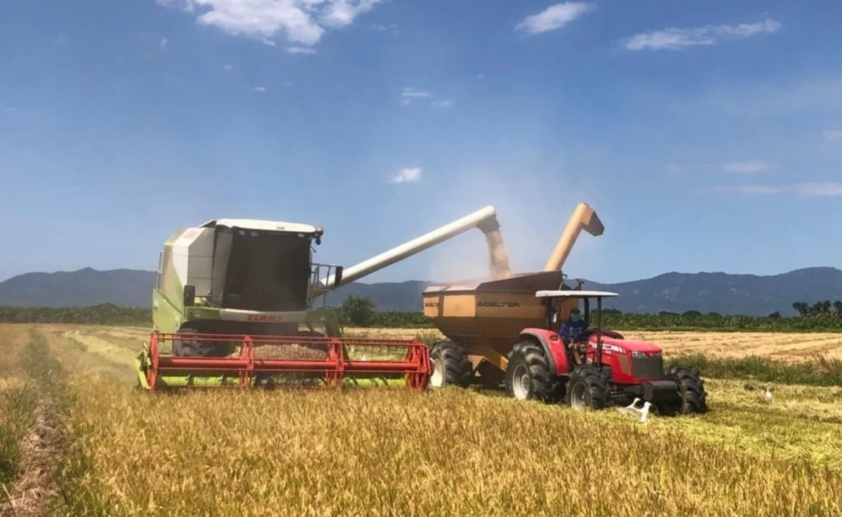 La capacitación de los jóvenes en los pueblos con vocación agrícola por parte del Instituto Nacional de Formación Técnico Profesional es clave para asumir la adopción tecnológica.