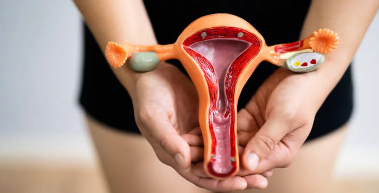 El ciclo menstrual es un fenómeno tan natural como respirar o digerir.