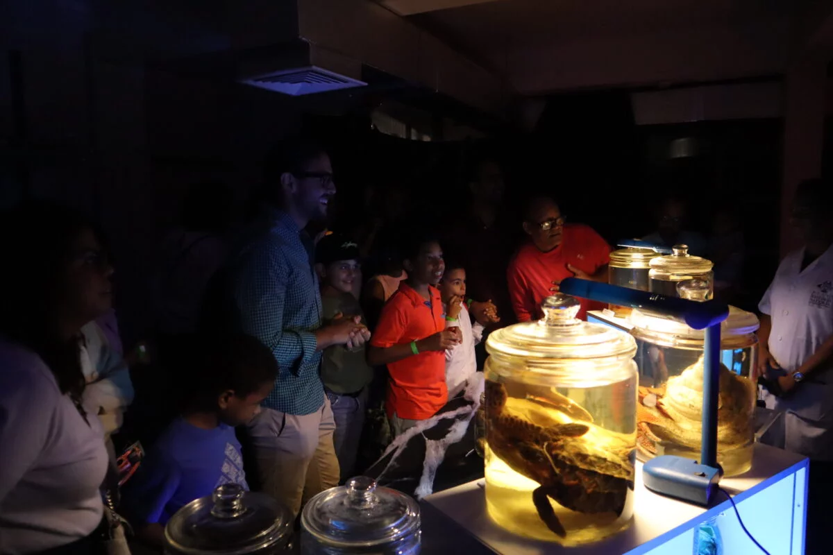 1 Visitantes viendo las colecciones cientificas