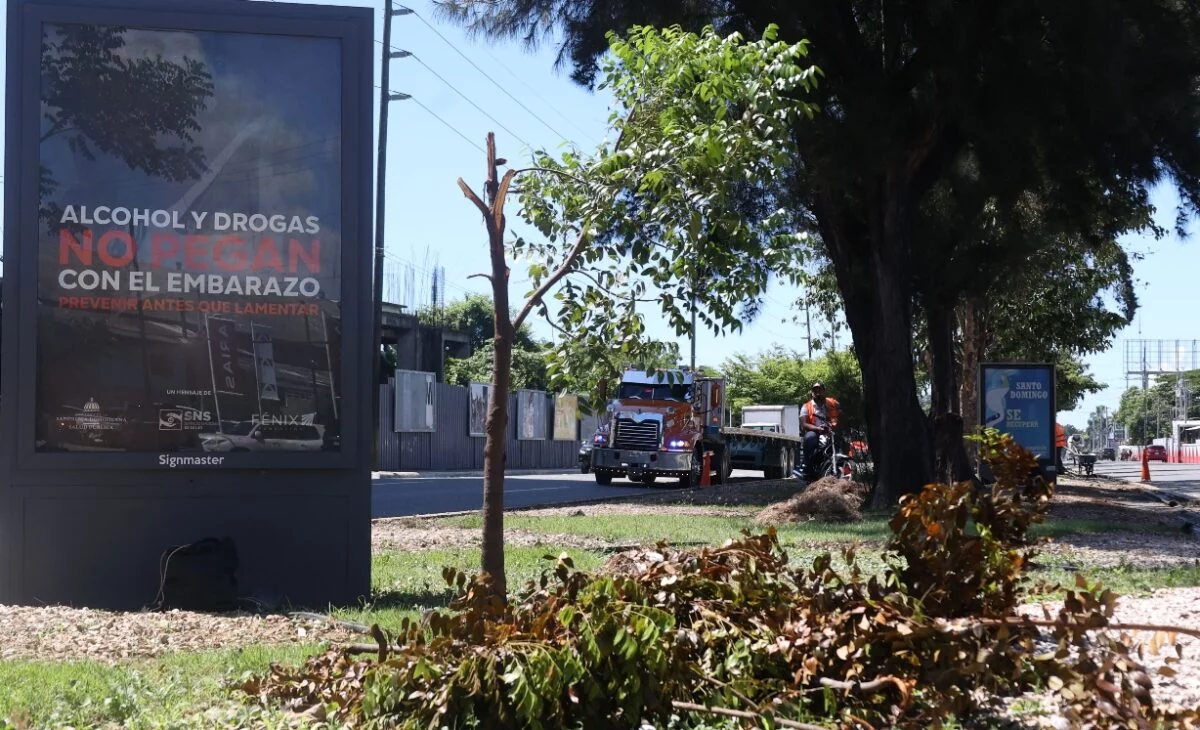 Parte de los árboles agredidos para lograr más vistosidad en la  publicidad.  Elieser Tapia.