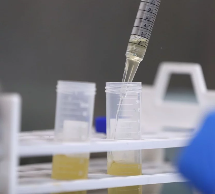 El Laboratorio Nacional realiza colaboración internacional.