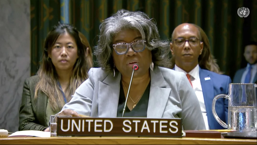 UN Security Council