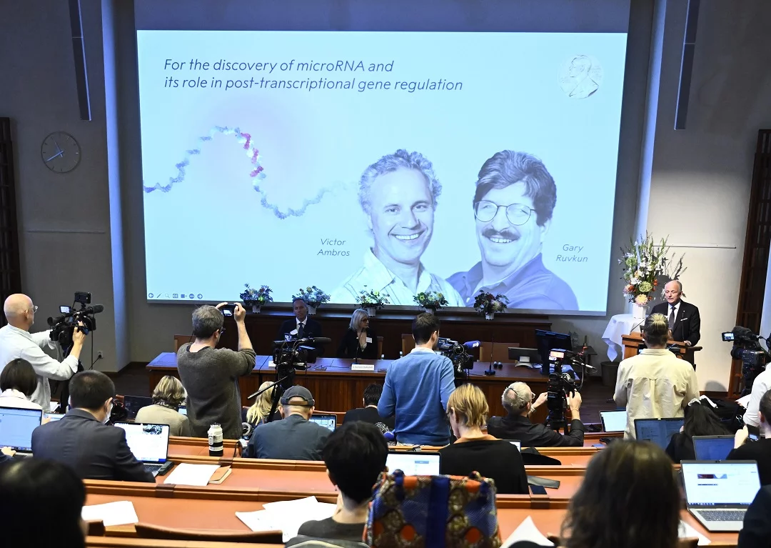 Victor Ambros and Gary Ruvkun awarded Nobel Prize in Physiology or Medicine