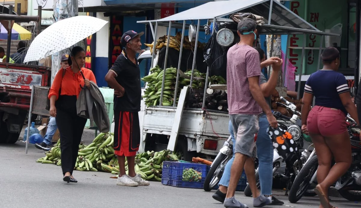 El  Banco Agrícola desembolsó RD$428.8 millones para  producir  plátanoa y  RD$58.4 millones para la de guineo en el 2023.