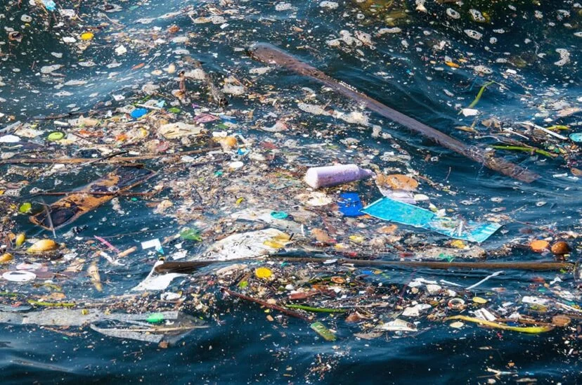 plasticos-828×548