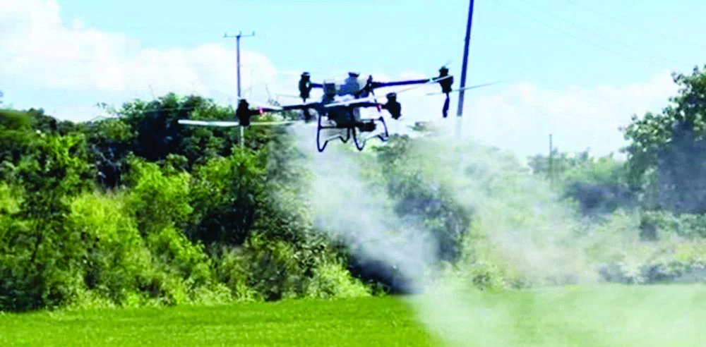 Fumigación de arroz en campo de la provincia San Juan por jóvenes emprendedores.