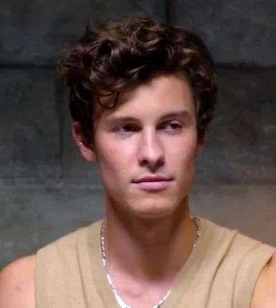 Shawn Mendes confirma que rompió lazos con su ex pareja.