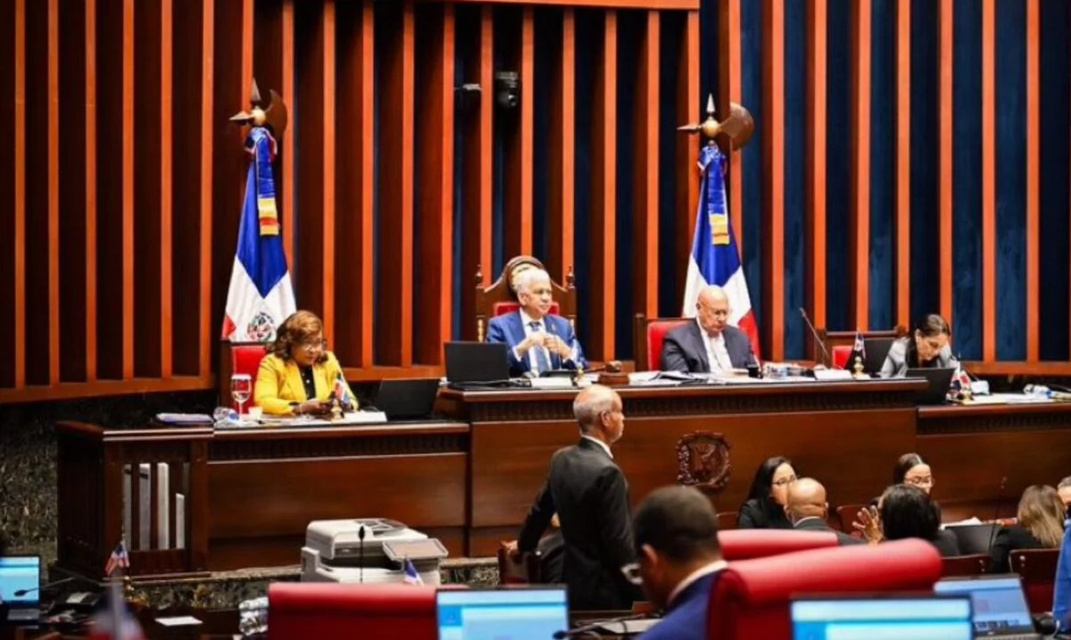 El pleno del Senado concluyó ayer la selección de la Junta Central Electoral.   FUENTE EXTERNA