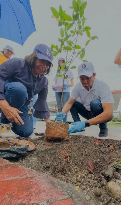 Momentos en que plantan especies de mara.