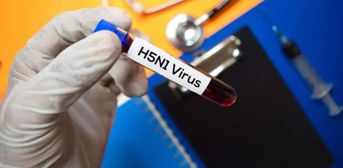 virus-h5n1_3411310_20230109124301