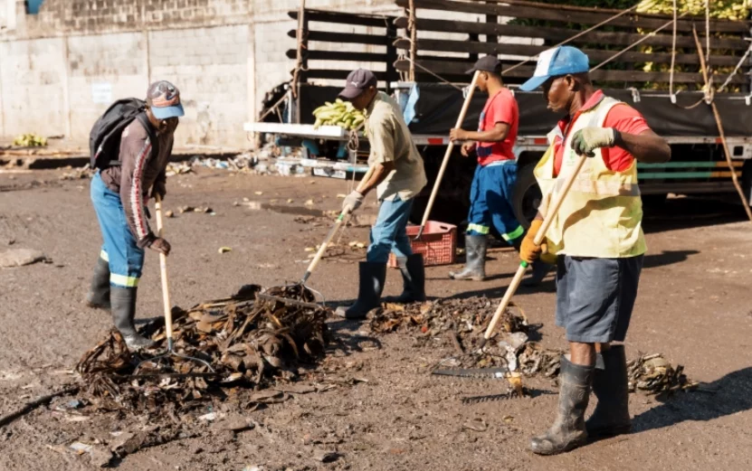 Una brigada trabaja en la limpieza en Villas Agrícolas.