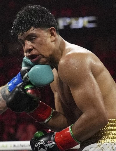Alvarez Munguia Boxing