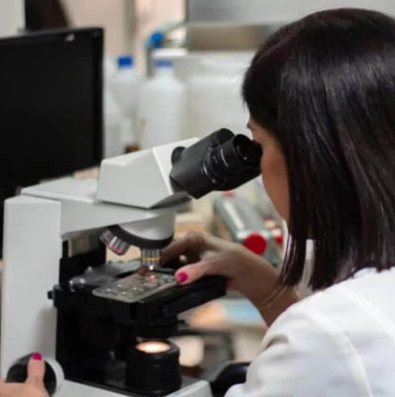 El metapneumovirus  se transmite por gotas respiratorias.