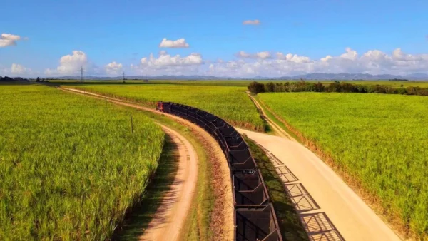 Central-Romana-Fields