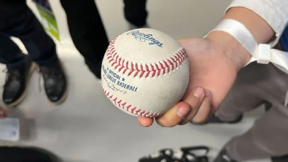 Pelota Ohtani