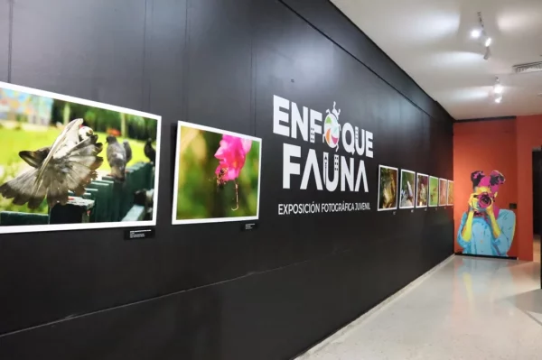 foto fauna