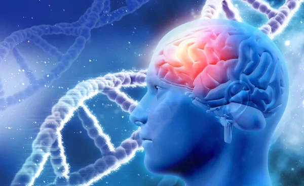 Estimulación cerebral podría mejorar tratamiento de la epilepsia resistente a medicamentos