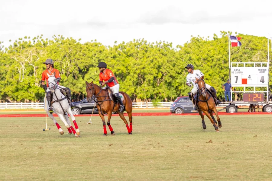 Polo1