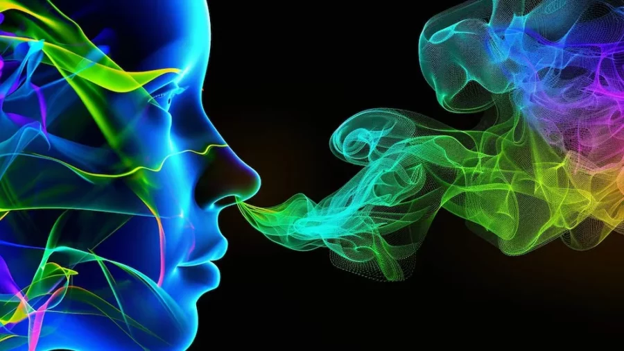 La hiposmia se asoció a una mayor riqueza bacteriana nasal, resultado replicado en un conjunto de datos externos, afirmaron los investigadores