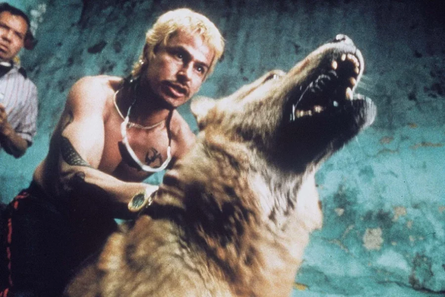 Amores Perros