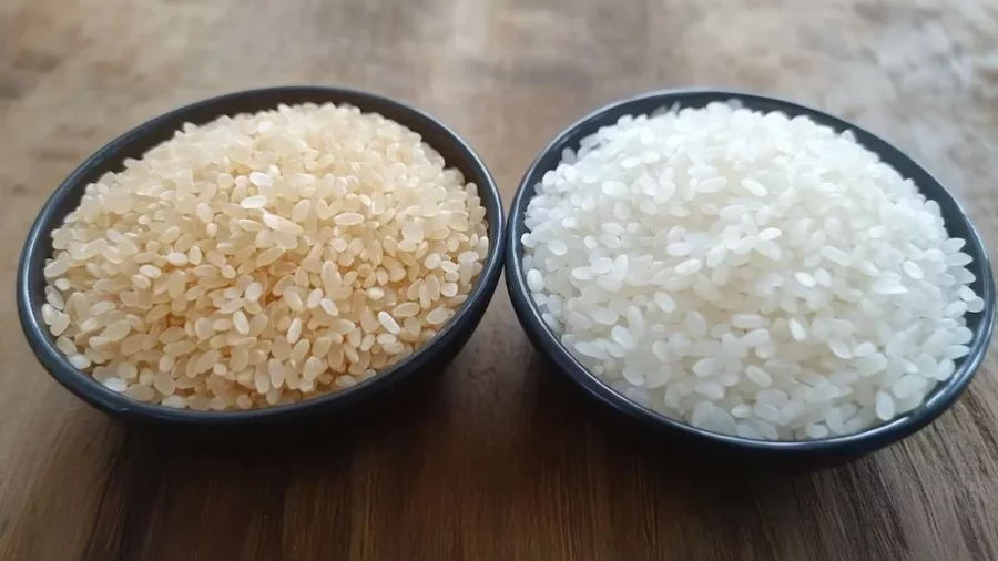 Arroz3