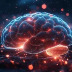 El líquido que protege el cerebro podría ayudar a combatir el cáncer