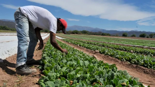 Los productores alertaron las estafas en el sector agrícola. Fuente externa