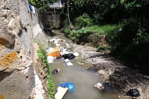 Roedores y basura