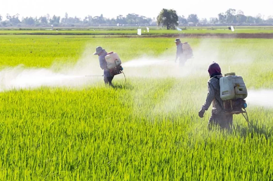 producto_Agroquimicos 1