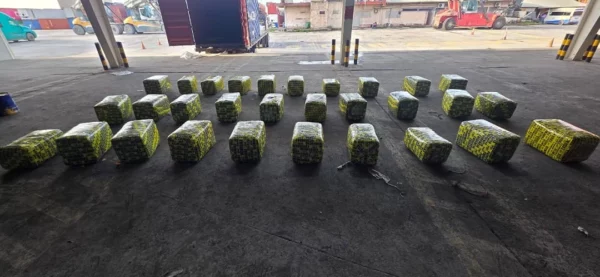 Alijo de marihuana puerto Castilla Guatemala